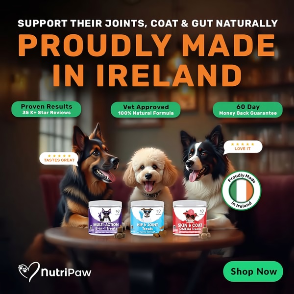 A square ad creative featuring three dogs sitting at a table with three different supplement jars, emphasizing natural sourcing, vet approval, and high star ratings.